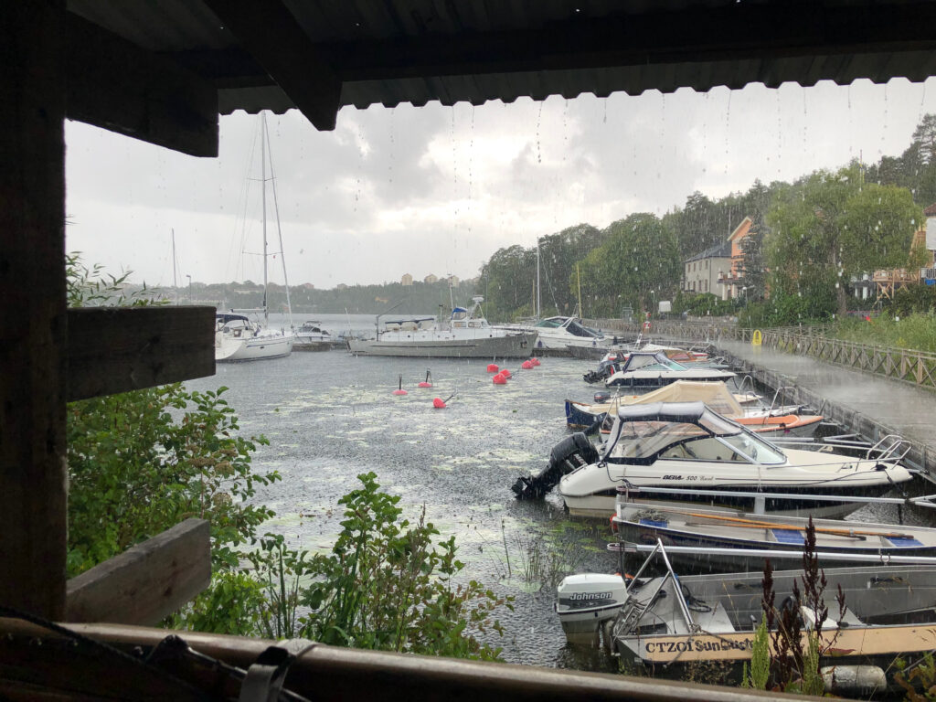 Förvaltningsprogrammet Regen i Bergvik